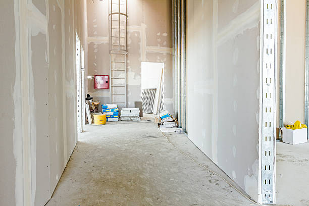Mold Odor Removal Services in Sawgrass, FL