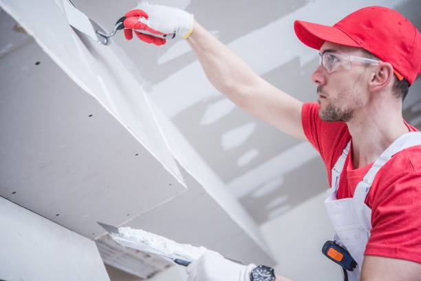  Sawgrass, FL Mold Removal Pros